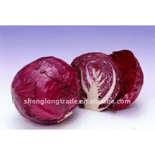 Fresh Purple Cabbage vegetable